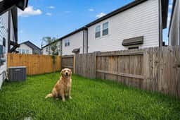 Pet-Friendly 3BR w/ Parking - 7 mins from Downtown